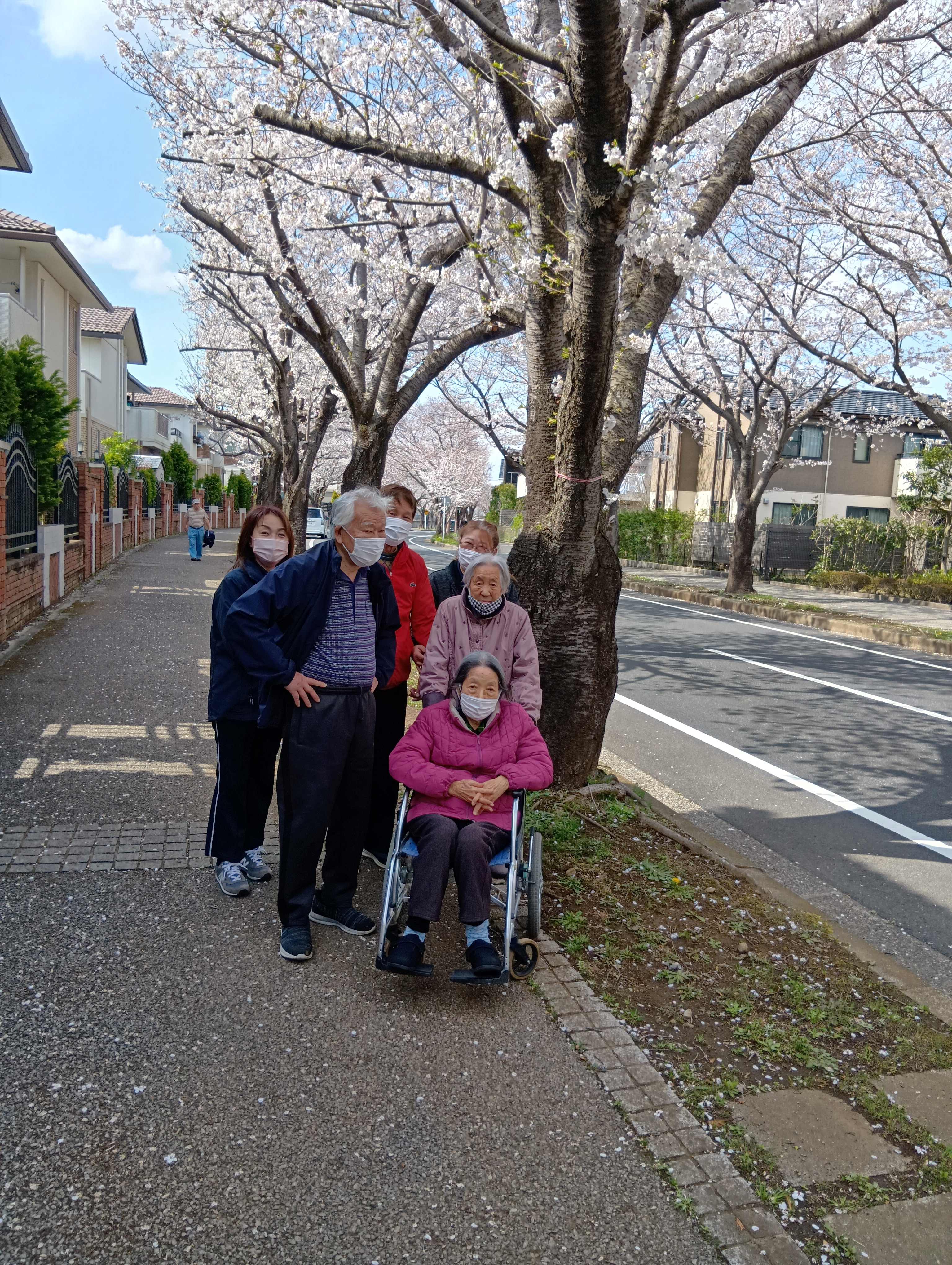 お花見