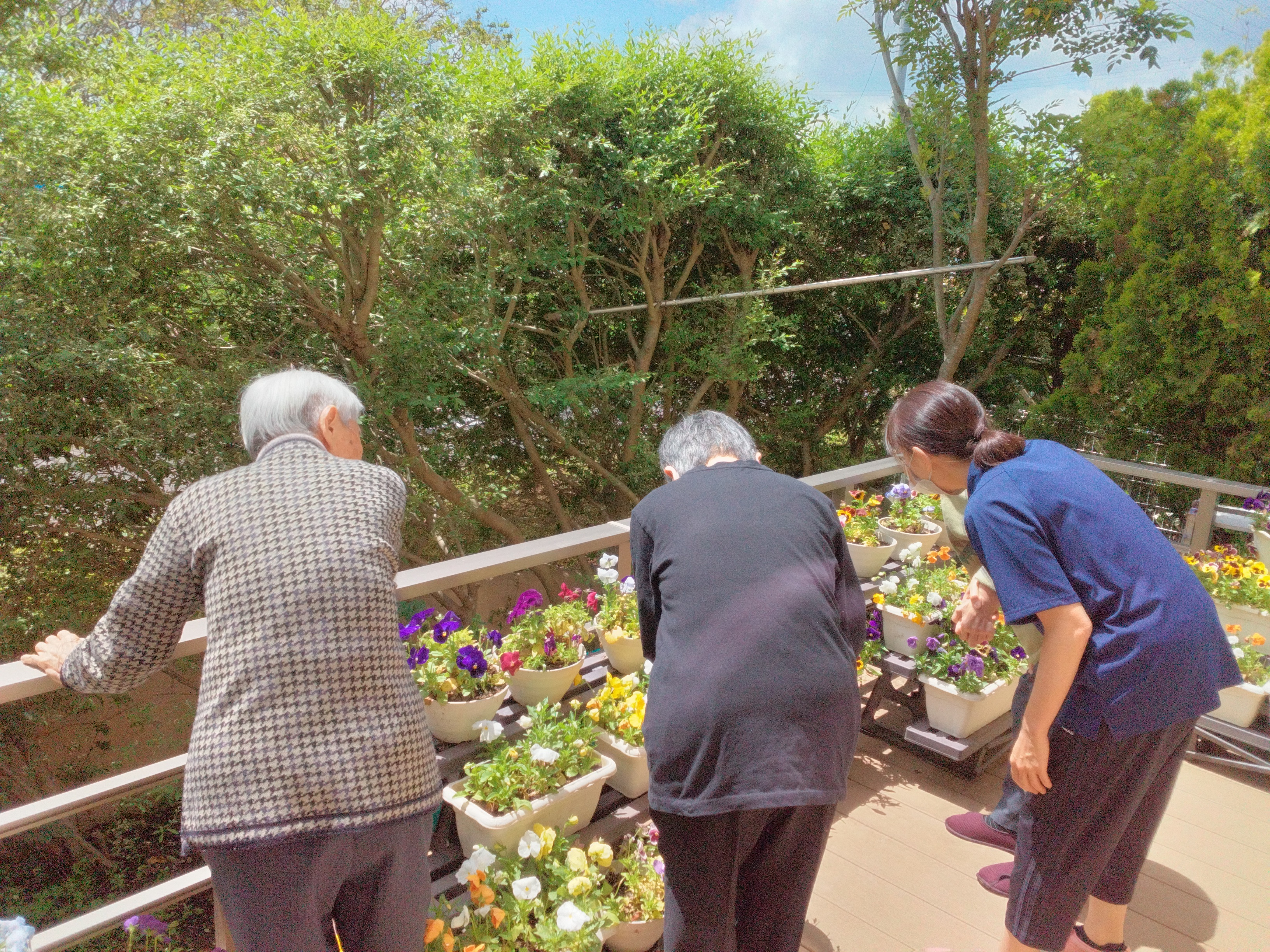 お花の手入れ